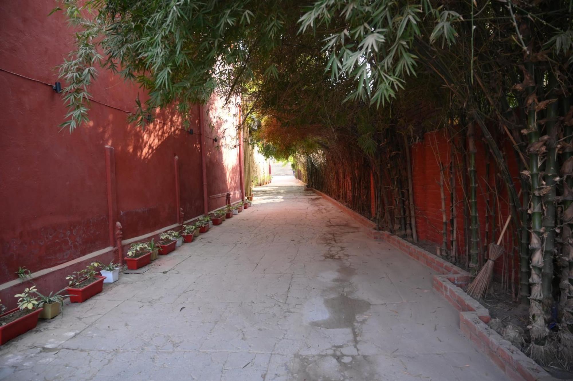 Raja Ka Bagh - A Boutique Hotel Nurpur Екстер'єр фото